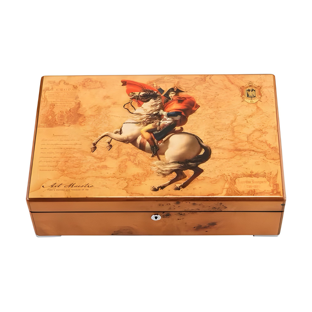 https://cdn.shopify.com/s/files/1/0774/4372/7708/files/3_f2d9c9ef-0168-4090-b14c-950061a91a1e.png?v=1734088006
