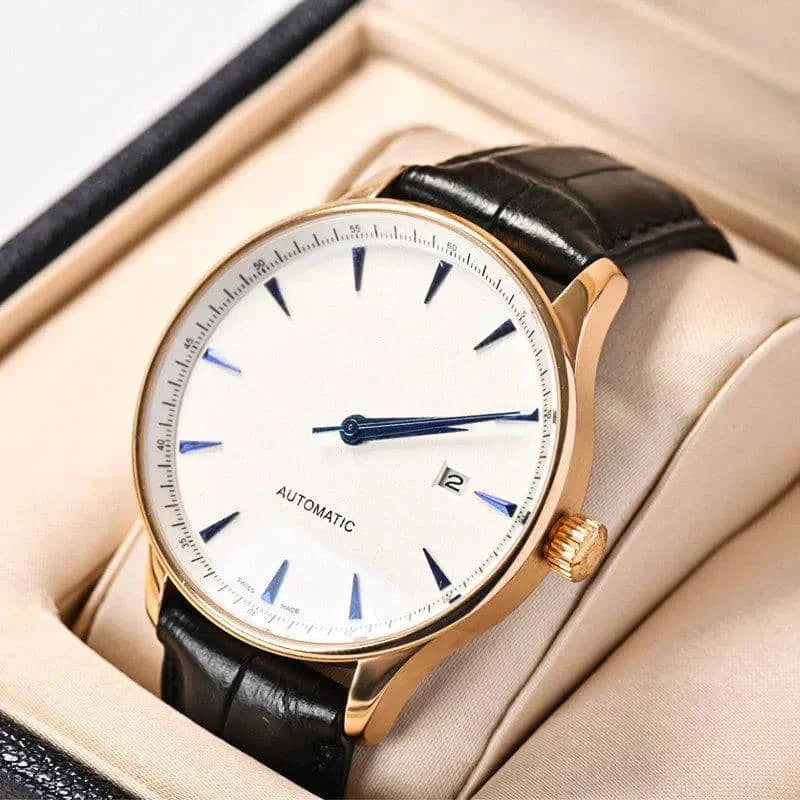 Boîte Montre Cuir Blanc Bois Chêne Solo
