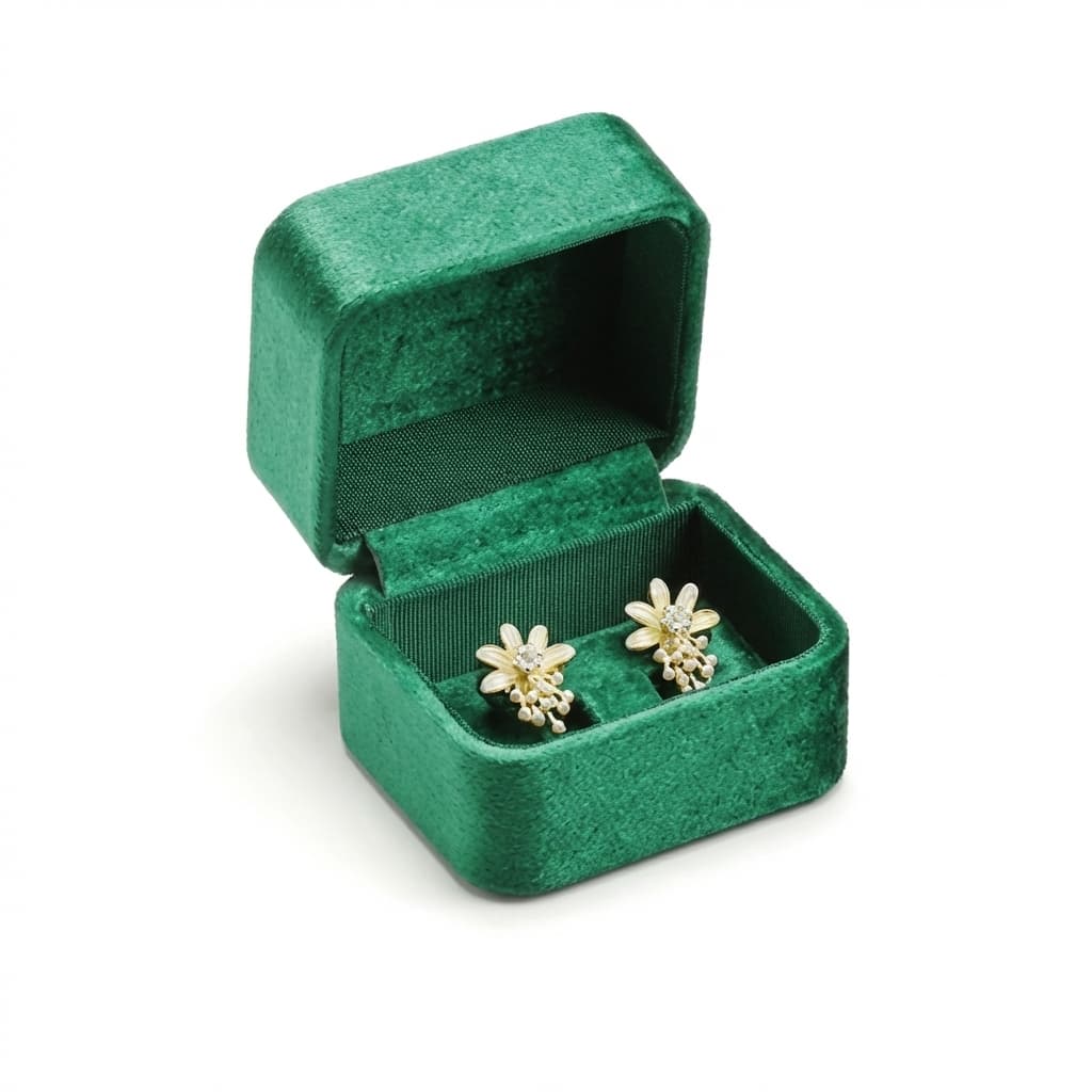 Boîte à Bijoux Velours Boucle d'Oreille Femme