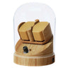 Coffre Fort Montre Bois Sapin Cloche 2 Places