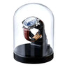 Remontoir Montre Plexiglas Cloche Verre Silencieux