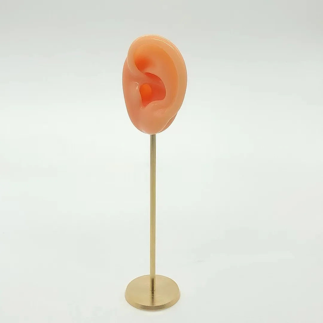 Présentoir Boucles Oreilles Silicone Mannequin