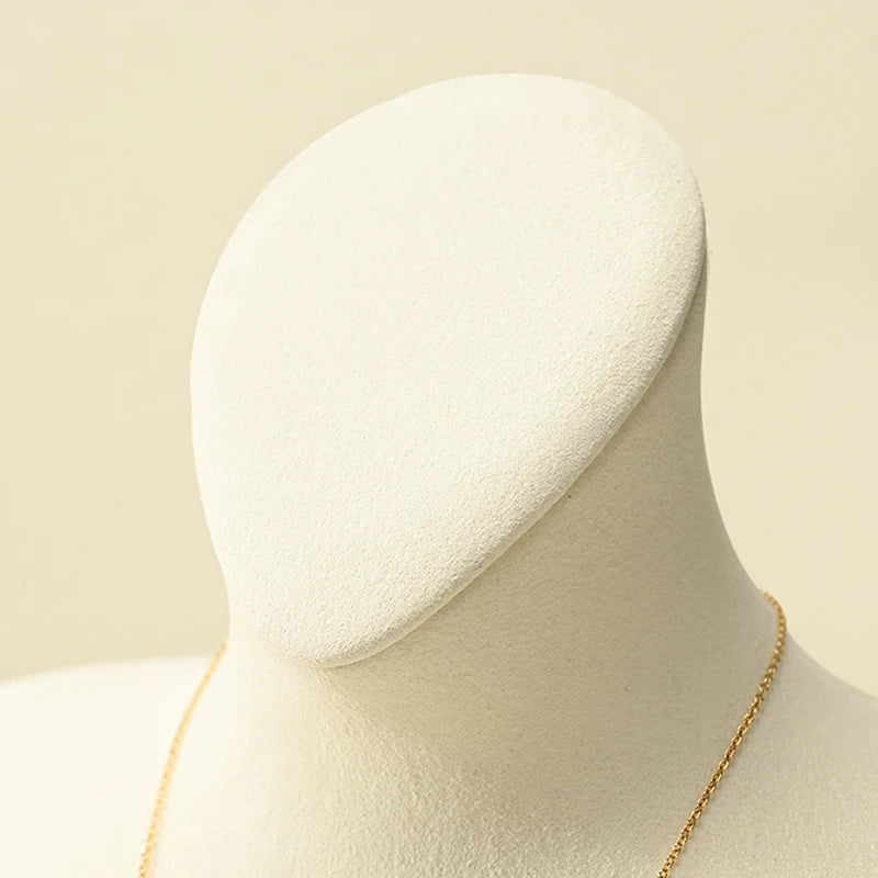Buste Collier Cuir Poitrine Portrait Premium