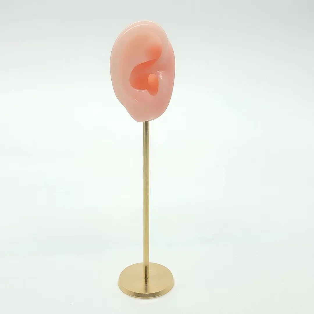 Présentoir Boucles Oreilles Silicone Mannequin