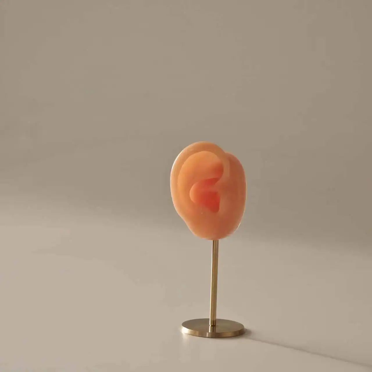 Présentoir Boucles Oreilles Silicone Mannequin