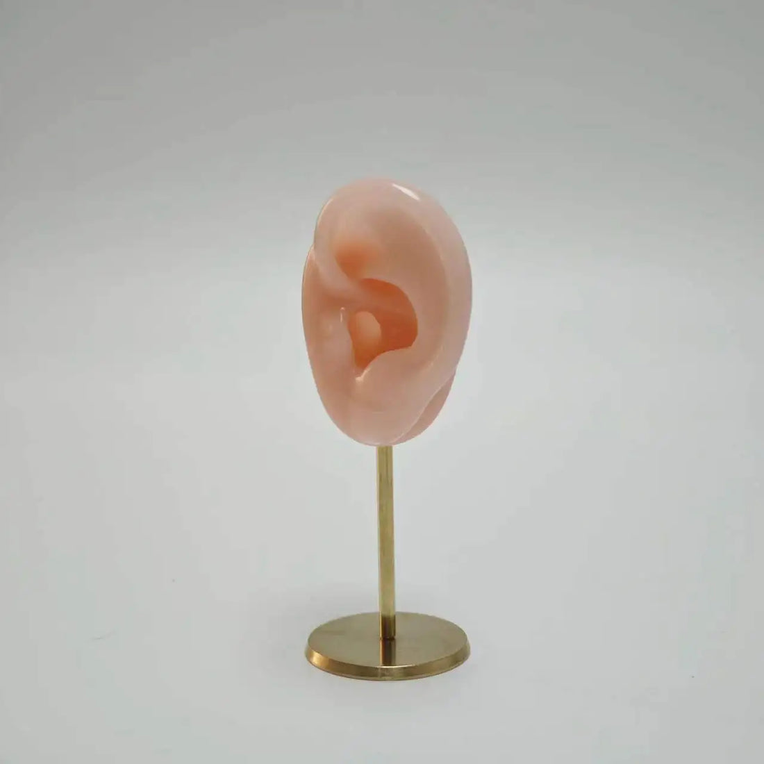 Présentoir Boucle d'Oreille Homme