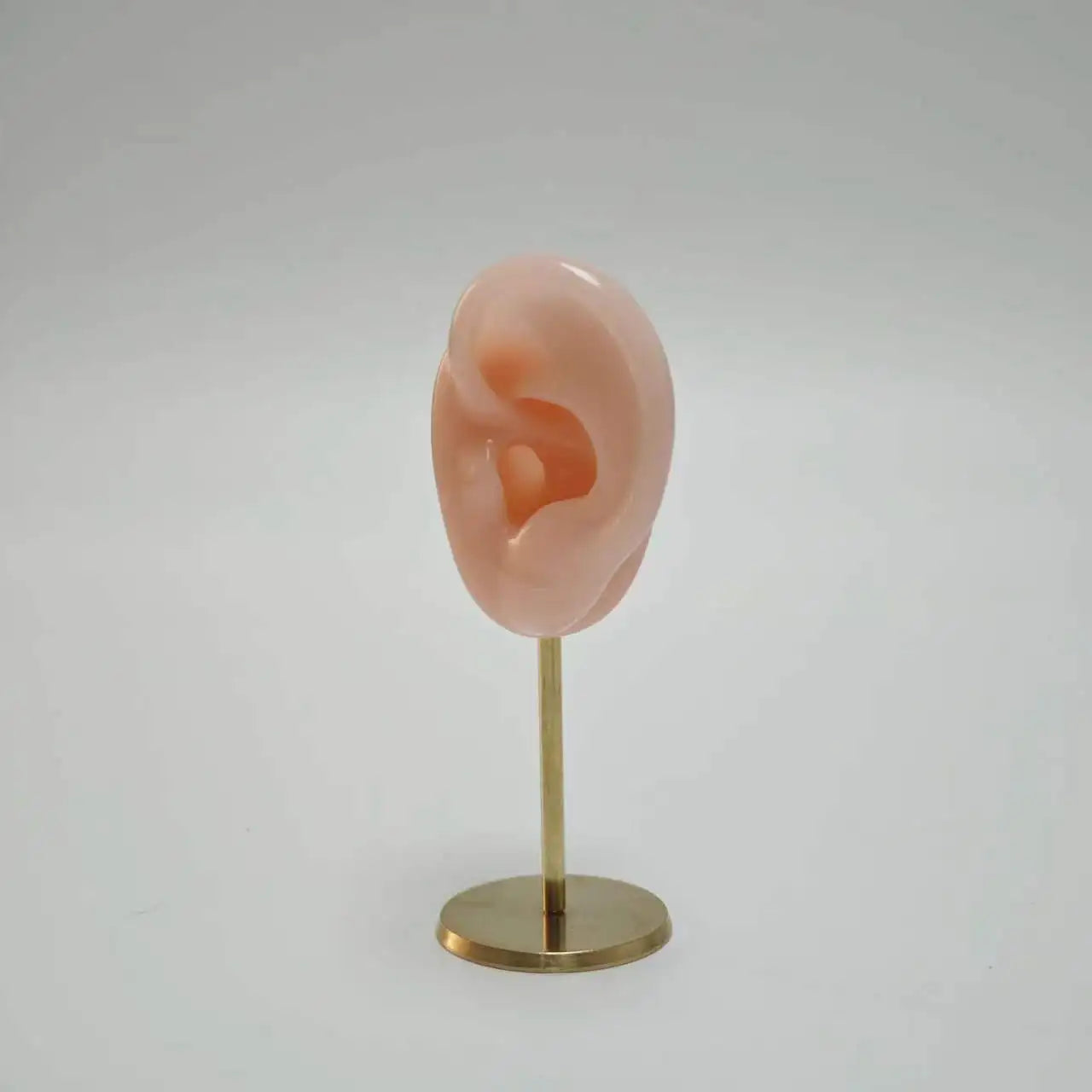 Présentoir Boucles Oreilles Silicone Mannequin