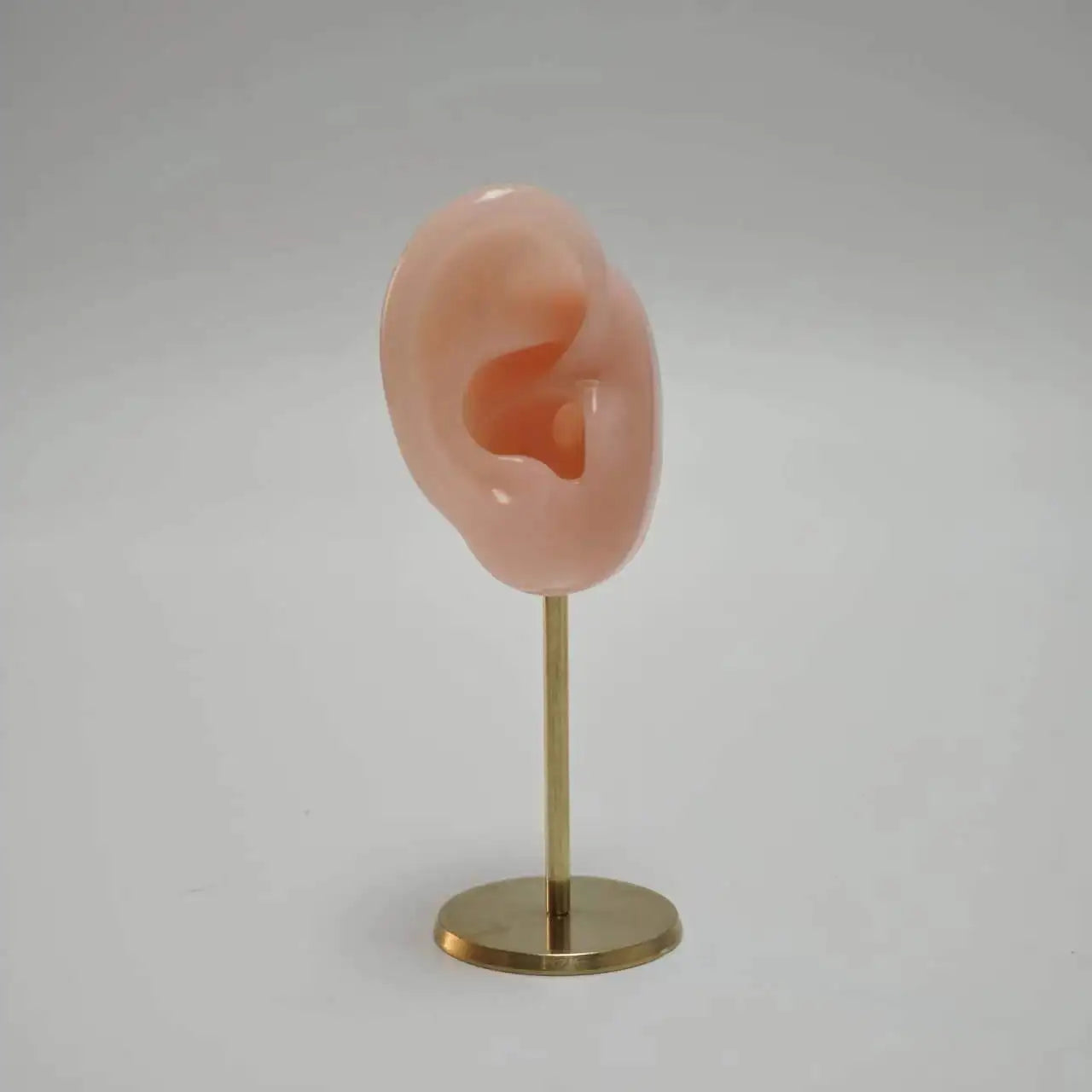 Présentoir Boucles Oreilles Silicone Mannequin