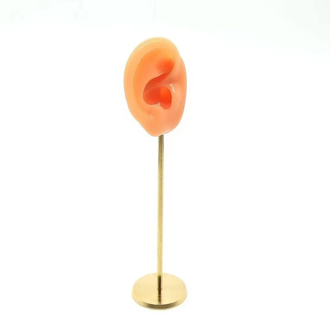 Présentoir Boucles Oreilles Silicone Mannequin