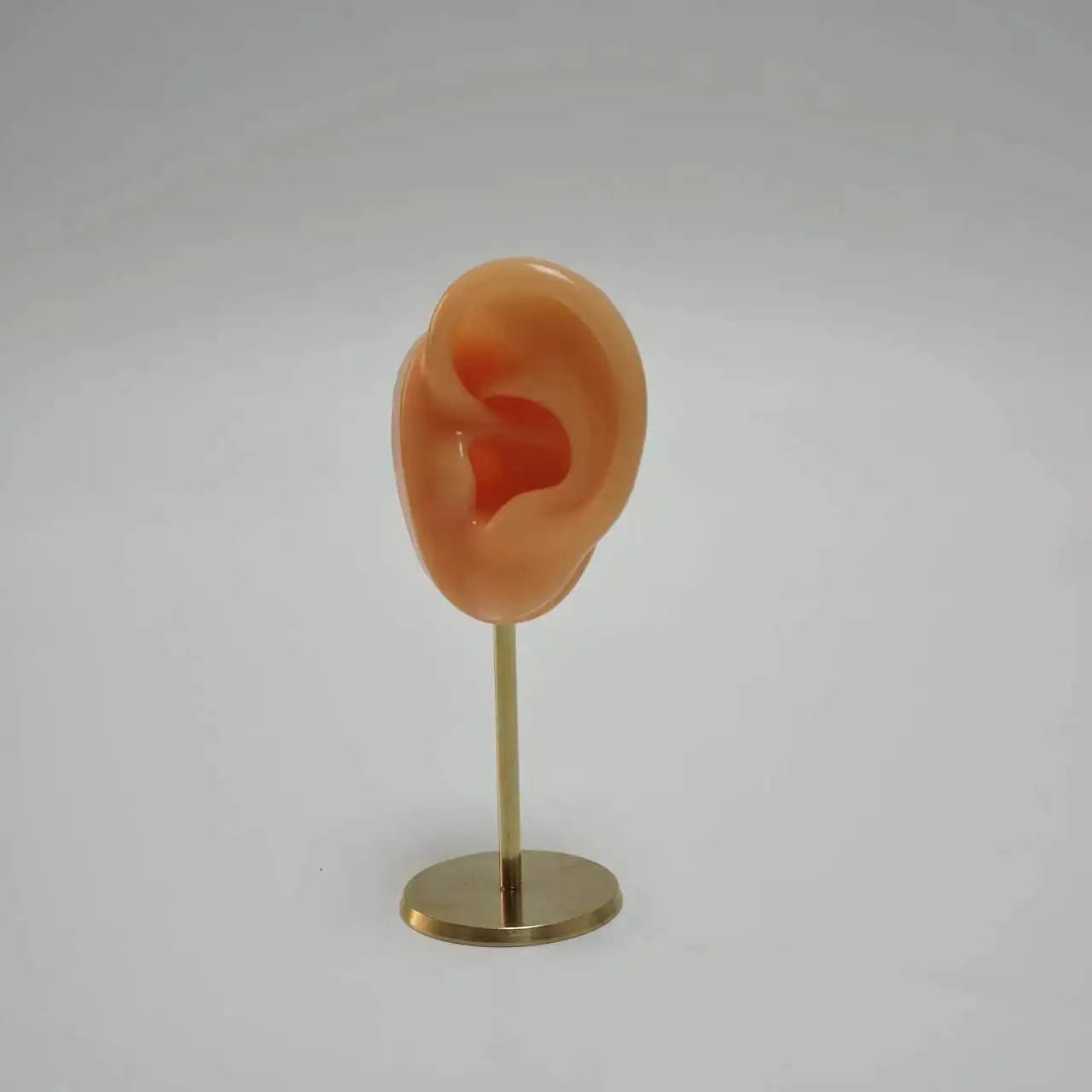 Présentoir Boucles Oreilles Silicone Mannequin