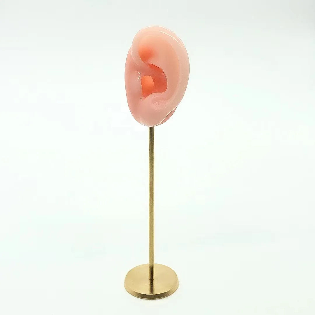 Présentoir Boucles Oreilles Silicone Mannequin