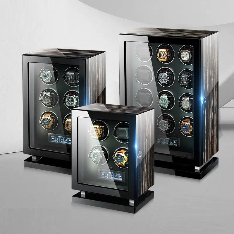 Remontoir Montre Métal Président Biométrique Multi Slots