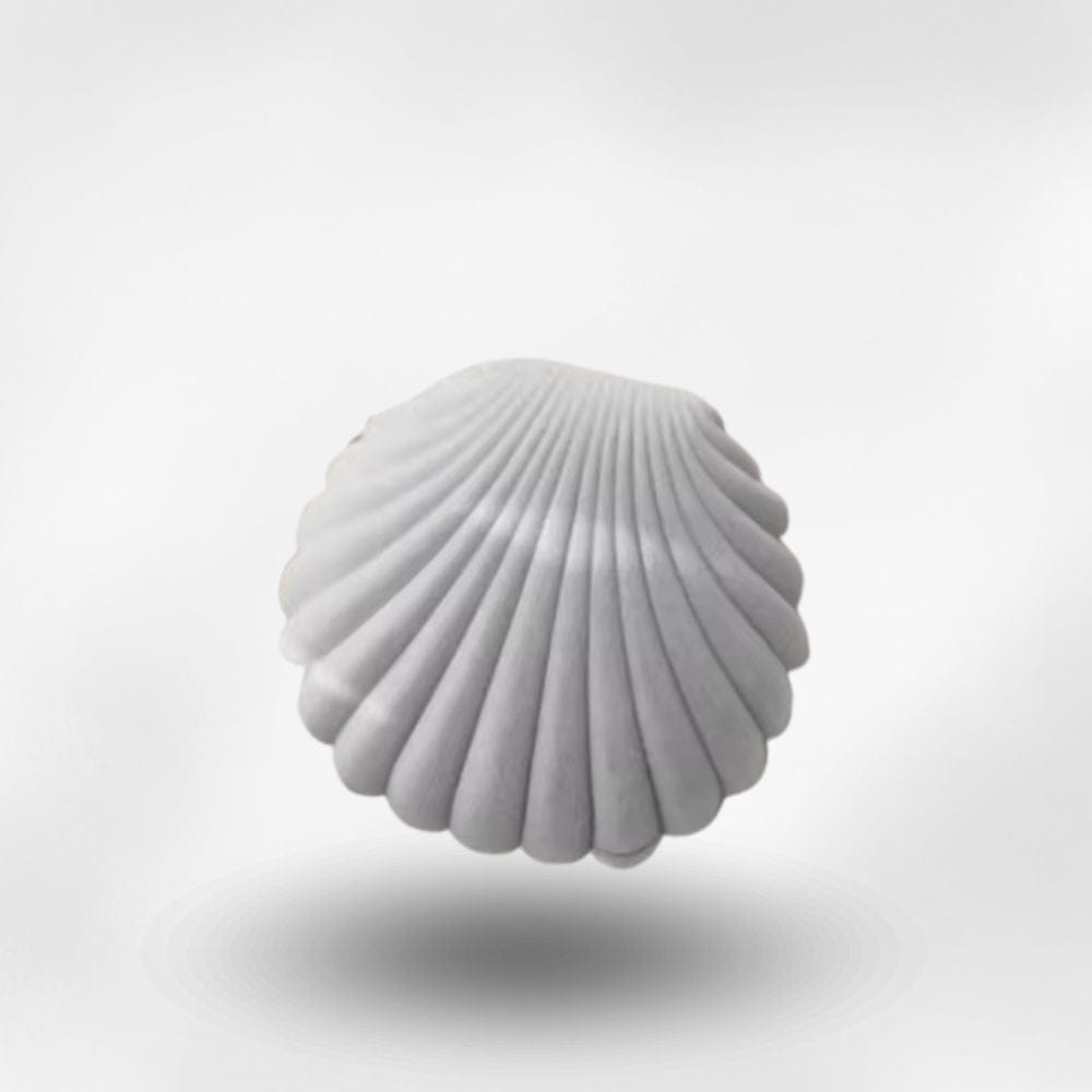 Boîte à Bijoux Velours Coquillage Gris