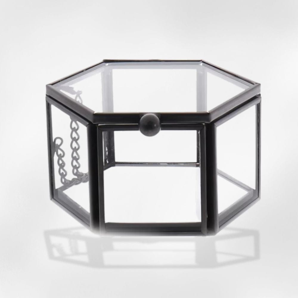 https://cdn.shopify.com/s/files/1/0889/8084/8989/files/royalcoffer-noir-boite-a-bijoux-transparente-58542783725917.jpg?v=1727890043
